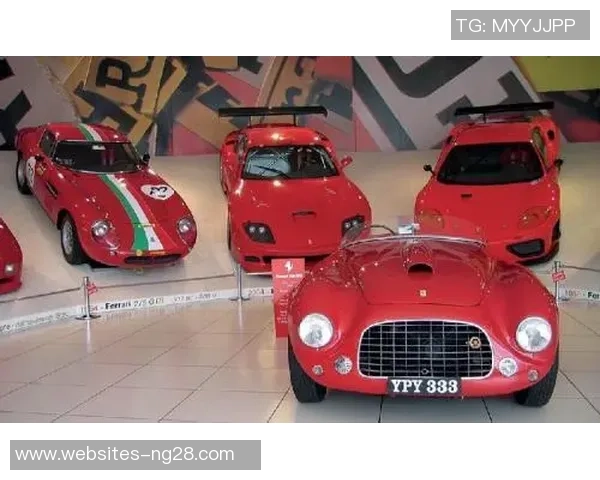 恩佐的成长之路:从小镇少年到国际足球明星的奋斗历程