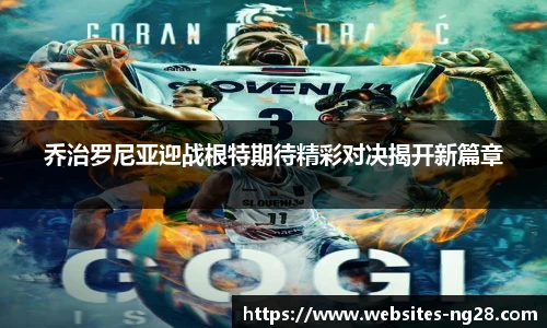 南宫NG28